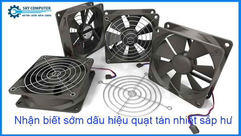 Nhan-biet-som-dau-hieu-quat-tan-nhiet-sap-hu1