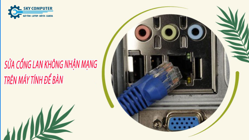 Sua-cong-lan-khong-nhan-mang-tren-may-tinh-de-ban-0