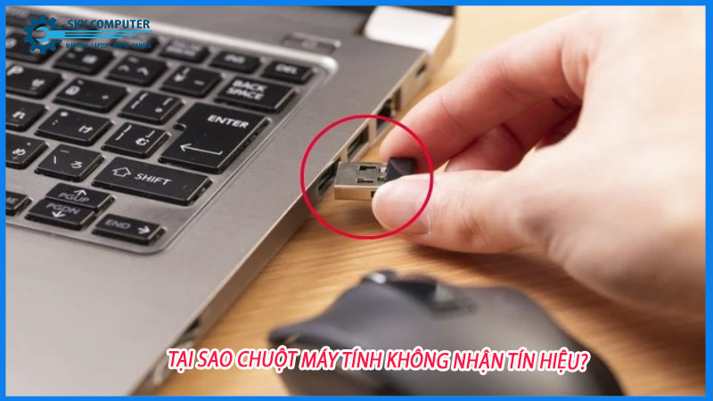 Tai-sao-chuot-may-tinh-khong-nhan-tin-hieu-0