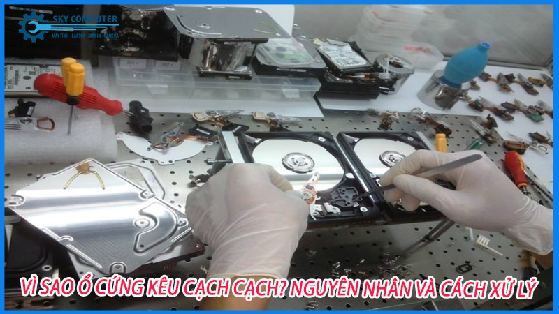 Vi-sao-o-cung-keu-cach-cach-nguyen-nhan-va-cach-xu-ly-0